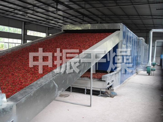 DWC系列脱水蔬菜带式干燥机