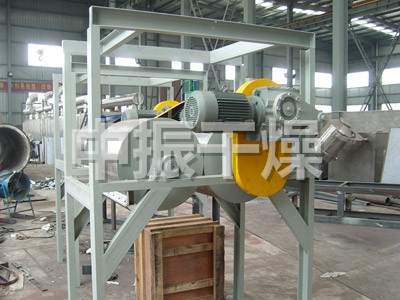 滚筒刮板干燥机