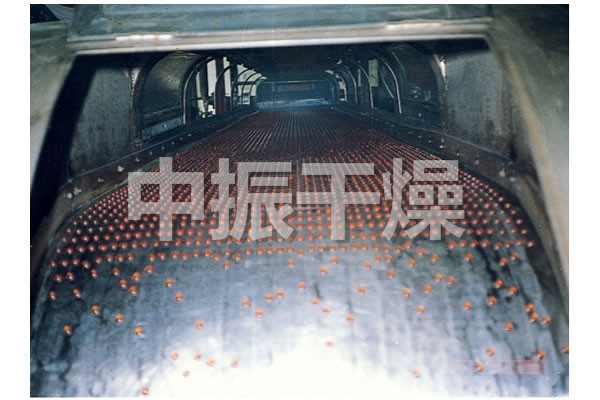 RL系列熔融造粒机